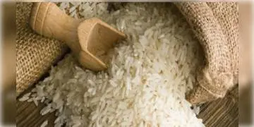Read more about - ভাঁড়ারে টান, তাই ইন্দো-চীনার সীমান্ত উত্তেজনার মধ্যেও ভারতের চাল কিনল চীন !