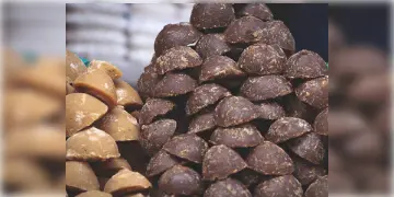 Read more about - Palm Jaggery Benefits | গুড়ের মিষ্টি নয়, এমনি খেজুরের গুড় খেলেই সুস্থ্য থাকবে শরীর! কমবে ওজনও! দেখুন খেজুর গুড়ের উপকারিতা!