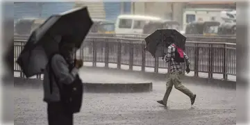 Read more about - West Bengal Weather | ফাল্গুনের শুরুতেই ক্রমশ বাড়ছে তাপমাত্রা! এরই মধ্যে শনিবার পর্যন্ত বৃষ্টির পূর্বাভাস গোটা বঙ্গে!
