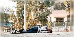 Read more about - মায়ানমারে সেনার গুলিতে ৯ জন নিহত হয়েছেন, জখম হয়েছেন বহুজন