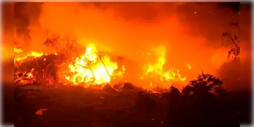 Read more about - Narkeldanga Fire | নারকেলডাঙ্গায় বিধ্বংসী অগ্নিকাণ্ড! পুড়ে ছাই ৪০টি ঝুপড়ি! ঘুমন্ত অবস্থায় মৃত্যু ১ জনের