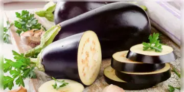 Read more about - Eggplant Health Benefits: জানুন বেগুনের গুণাবলী