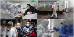 Read more about - New Virus । কোভিড আতঙ্ক ফের ফিরে আসলো? চিনে ছড়াচ্ছে নতুন ভাইরাস HMPV