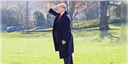 Read more about - ট্রাম্পের ‘প্রচারক’ হিসেবে কাজ করা প্রায় ৭০ হাজার অ্যাকাউন্টও এ বার মুছে দিল টুইটার