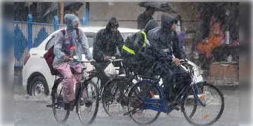 Read more about - দক্ষিণে বাড়বে অস্বস্তি, উত্তরে রয়েছে ভারী বৃষ্টির পূর্বাভাস! একনজরে জেনে নিন জেলাগুলির আবহাওয়া