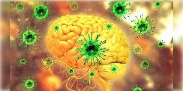 Read more about - কোভিড এনকেফ্যালোপ্যাথি: এবার মস্তিষ্কে দাপট করোনাভাইরাসের, কপালে ভাঁজ চিকিৎসক মহলের !