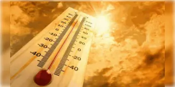 Read more about - Weather Update | সোমবার পর্যন্ত ঝড় বৃষ্টির পূর্বাভাস! মঙ্গলবার থেকেই ৪০ ডিগ্রি ছুঁই ছুঁই!