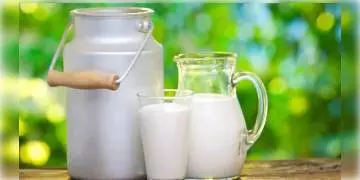 Read more about - আজকের দিনটিকে কি কারণে বিশ্ব দুগ্ধ দিবস হিসেবে পালন করা হয় - আসুন জেনে নেওয়া যাক...