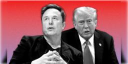 Read more about - Elon-Trump | ইলন মাস্ককে সাক্ষাৎকার দিলেন ডোনাল্ড ট্রাম্প! উঠলো 'হামলা'-মধ্যপ্রাচ্যের প্রসঙ্গ