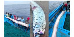Read more about - Doomsday Fish | আরও কোনও বিপর্যয় আসন্ন ভারতে? তামিলনাড়ুতে ধরা পড়লো 'ডুমসডে ফিশ'!