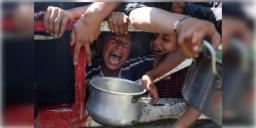 Read more about - Gaza | "রাজায় রাজায় যুদ্ধ হয়..", লাগাতার ইজরায়েলি হামলা, গাজায় অনাহারে মৃত শিশু সহ ১২২