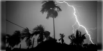 Read more about - West Bengal Weather Update | সোমবার বিকেলেই বেশ কিছু জেলায় হতে পারে কালবৈশাখী! সারা সপ্তাহ জুড়ে বজ্রবিদ্যুৎ-সহ বৃষ্টির কমলা সতর্কতা!