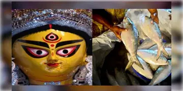 Read more about - India-Bangladesh | দুর্গাপুজোতে পদ্মার ইলিশের স্বাদ পাবেনা বঙ্গবাসী, রীতি ভেঙে দুর্গাপুজোতে ইলিশ পাঠাবে না বাংলাদেশ