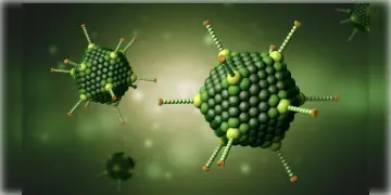 Read more about - Adenovirus in West Bengal: কলকাতায় অ্যাডিনোভাইরাসে ১৩ শিশুর মৃত্যু!