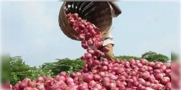 Read more about - Onion Export Tax | পেঁয়াজের উপর ২০ শতাংশ রপ্তানি শুল্ক বা এক্সপোর্ট ডিউটি প্রত্যাহার করলো কেন্দ্র সরকার!
