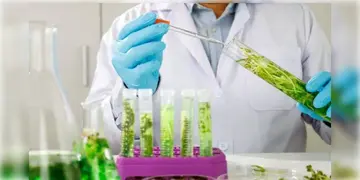 Read more about - ICMR-NIRBI | উদ্বেগ ছড়াচ্ছে HMPV, পথ দেখাবে বাংলায় তৈরী ভারতের প্রথম ‘জীবাণু সংক্রমণ গবেষণা সংস্থার’ হাব