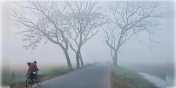 Read more about - West Bengal Weather | পৌষ-শেষে বঙ্গে বাড়লো শীত! বুধবার থেকেই বদল পশ্চিমবঙ্গের আবহাওয়া! দেখুন আগামী কয়েকদিন আবহাওয়া কেমন থাকবে?