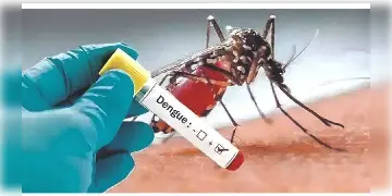 Read more about - Dengue | বর্ষাপূর্বেই আলিপুরদুয়ারে 'ডেন থ্রি'তে আক্রান্ত অন্তত ৫২! কতটা ভয়াবহ ডেঙ্গুর এই ভ্যারিয়্যান্ট?