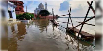 Read more about - Weather | বৃষ্টিতে হরিদ্বারের লোকালয়ে কুমিরের তাণ্ডব! ৪৫ বছর পর তাজমহলে ঢুকলো যমুনার জল! বঙ্গে বাড়বে বৃষ্টি!