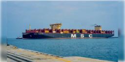 Read more about - Adani Port | ভারতের নৌ বন্দরে পৌঁছলো বিশ্বের সবথেকে বড় পরিবেশ-বান্ধব কন্টেনার জাহাজ 'MSC Turkiye'