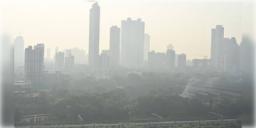 Read more about - Mumbai Weather | মায়ানগরী নাকি 'গ্যাস চেম্বার'? মুম্বাইয়ের বিষাক্ত বায়ু হার মানাচ্ছে দিল্লিকেও