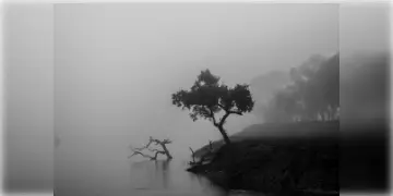 Read more about - West Bengal Weather News | দীপাবলির আগে পশ্চিমবঙ্গের আবহাওয়ায় বড় বদল! সপ্তাহ জুড়ে বৃষ্টির পূর্বাভাস বেশ কয়েক জেলায়!