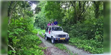 Read more about - West Bengal | মুখ্যমন্ত্রীর নির্দেশের পর তৎপর বন দপ্তর! রাজ্যের সমস্ত বনাঞ্চলের প্রবেশ মূল্য করা হল প্রত্যাহার