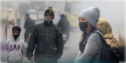 Read more about - Weather Update | বছরের দ্বিতীয় দিনেই জবুথবু মহানগর, একনজরে কলকাতার আজকের আবহাওয়া আপডেট