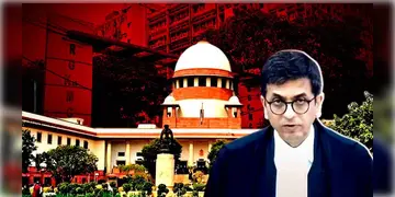 Read more about - R G Kar | সমাজ মাধ্যমে এখনও আরজিকরের নির্যাতিতার ছবি ও নাম ব্যবহার করার অভিযোগ, নোডাল অফিসার নিয়োগের নির্দেশ