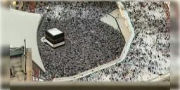 Read more about - Mecca । মৃত্যুপুরীতে পরিণত হয়েছে মক্কা, মদিনা! প্রচন্ড গরমে মৃত্যু ৫৫০ হজযাত্রীর!