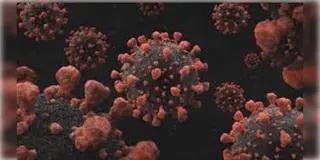 Read more about - Covid19 in WB | রাজ্যে হু হু করে বাড়ছে করোনা আক্রান্তের সংখ্যা, আক্রান্তের সংখ্যা বেড়ে হয়েছে ২৮৭