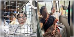 Read more about - Mamata Banerjee | দিল্লি পুলিশের হাতে আটক মমতা বন্দ্যোপাধ্যায়! রয়েছে কী অভিযোগ?