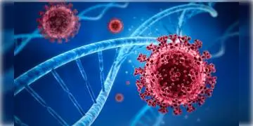 Read more about - চাঞ্চল্যকর দাবি গবেষণায়, ডেল্টা প্রজাতির বিরুদ্ধে আট গুণ কম কার্যকর প্রতিষেধক