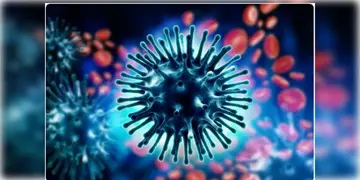 Read more about - H1N1 Virus | মাত্র ৩ মাসেই আক্রান্ত ৫১৬ মৃত্যু ৬ জনের! নতুন করে চিন্তা বাড়াচ্ছে H1N1 ভাইরাস!