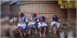 Read more about - Tribal Development | আদিবাসী পড়ুয়াদের ডিজিটাল শিক্ষায় আগ্রহী কেন্দ্র! সাহায্য পৌঁছচ্ছে ৬৮টি 'একলব্য' মডেল স্কুলে