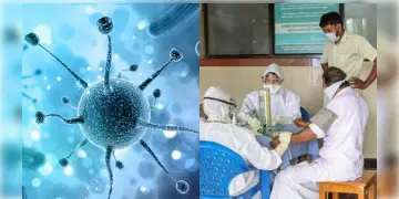 Read more about - Nipah Virus News | কেরলের নিপা ভাইরাস কলকাতায়! নিপা ভাইরাস আক্রান্ত সন্দেহে হাসপাতালে ভর্তি যুবক! জানুন এই ভাইরাসের উপসর্গ কী কী?