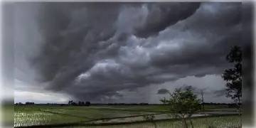 Read more about - Kerala Monsoon | আটদিন আগেই ঢুকলো মৌসুমী বায়ু, ১৬ বছর পর এতো তাড়াতাড়ি বর্ষা প্রবেশ করলো কেরলে!