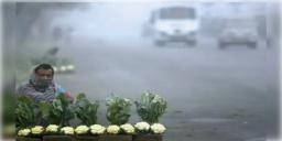 Read more about - Weather Update | ভোরে কুয়াশা থাকলেও দিনে বাড়বে উষ্ণতা-শুষ্কতা, কেমন থাকবে ফেব্রুয়ারিতে বঙ্গের আবহাওয়া?