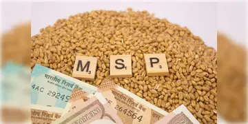 Read more about - Kharif Crops MSP | ধান সহ ১৩টি খরিফ শস্যের ন্যূনতম সহায়ক মূল্য বৃদ্ধি করল কেন্দ্র!