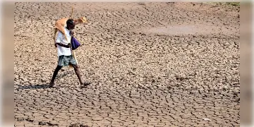 Read more about - Water Crisis | শুকিয়ে গিয়েছে প্রায় ৩০০০ নলকূপের জল! ক্রমশ 'ডে জিরো'র দিকে এগোচ্ছে বেঙ্গালুরু! 'সিটি অফ লেকসে’ কেন সংকট?