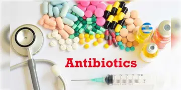 Read more about - Biotechnology | দেশীয় জৈবপ্রযুক্তি গবেষণায় মাইলফলক! সম্পূর্ণ ভারতীয় প্রযুক্তিতে তৈরী হলো অ্যান্টিবায়োটিক ওষুধ