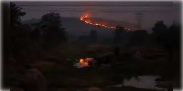 Read more about - শুশুনিয়া, অযোধ্যা, পঞ্চকোট পাহাড়ের জঙ্গলে ফের অগ্নিকান্ড, স্থানীয় দুষ্কৃতীদের কাজ অনুমান বন দফতরের