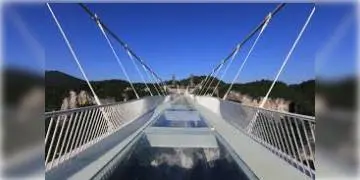 Read more about - চিনের মতো বিহারও গ্লাসব্রিজ! এডভেঞ্চারের খোঁজে ভিড় করছেন পর্যটকরা।