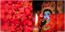 Read more about - Kalipuja 2024: শাস্ত্রমতে রক্তজবা ছাড়া কালীপুজো নাকি অসম্পূর্ণ! কেন এই অদ্ভুত নিয়ম ? জানুন বিস্তারিতভাবে