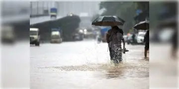 Read more about - বজ্রবিদ্যুৎ সহ বৃষ্টির সম্ভাবনা শহরে, উত্তরবঙ্গেও হতে পারে বৃষ্টিপাত জানালো আবহাওয়া দপ্তর