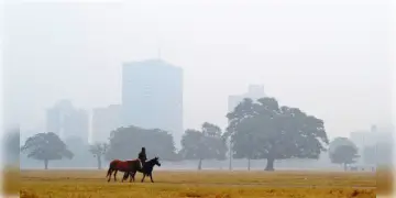 Read more about - West Bengal Weather | কলকাতার সর্বনিম্ন তাপমাত্রা কমলো ২ ডিগ্রি! উইকেন্ডে মনোরম পশ্চিমবঙ্গের আবহাওয়া!