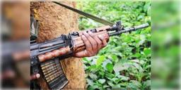 Read more about - উদ্ধার প্রেশার কুকার বোমা, মহারাষ্ট্রে গুলির লড়াইয়ে হত ৫ জন মাওবাদী