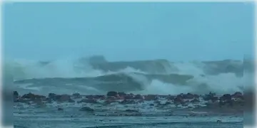 Read more about - Cyclone Montha | কোথায় ল্যান্ডফল করবে সাইক্লোন 'মান্থা’ ? কতটা প্রভাব পড়বে পশ্চিমবঙ্গের ওপর?