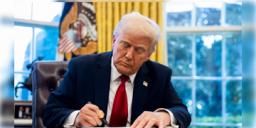 Read more about - Donald Trump | আমেরিকায় আমদানি হওয়া গাড়িতে ২৫ শতাংশ শুল্ক আরোপ ট্রাম্পের!