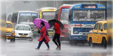 Read more about - সোমবার থেকে দক্ষিণের জেলায় বাড়বে বর্ষণ, উত্তরে বৃষ্টির প্রকোপ কমবে বলে জানাল হাওয়া অফিস